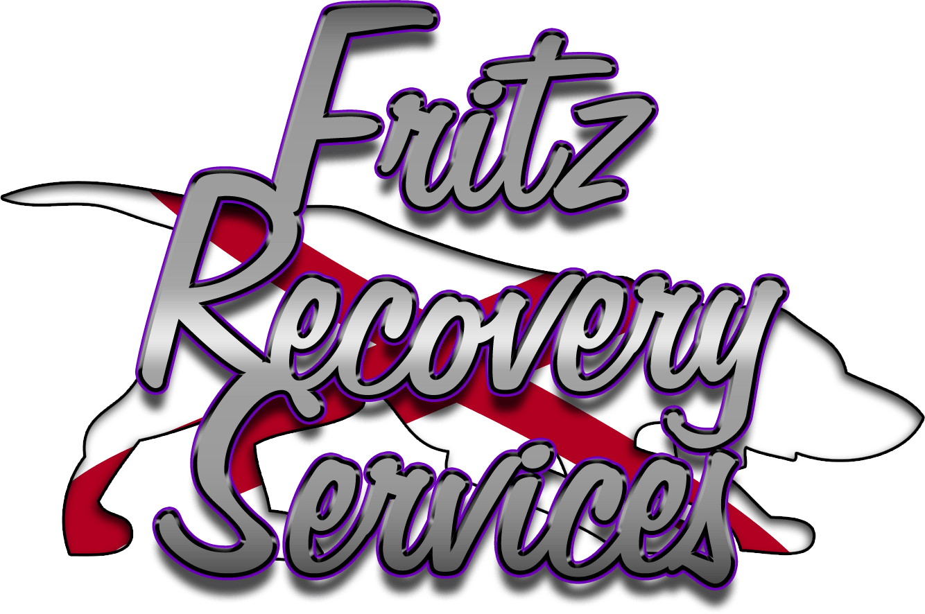 Fritz Recovery Services